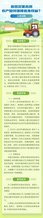 自然災(zāi)害來襲，農(nóng)戶如何保障自身權(quán)益？