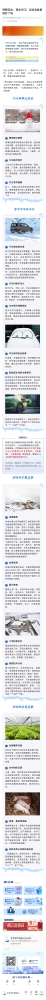3.預(yù)警連發(fā)，襲擊浙江！這些準(zhǔn)備都做好了嗎？